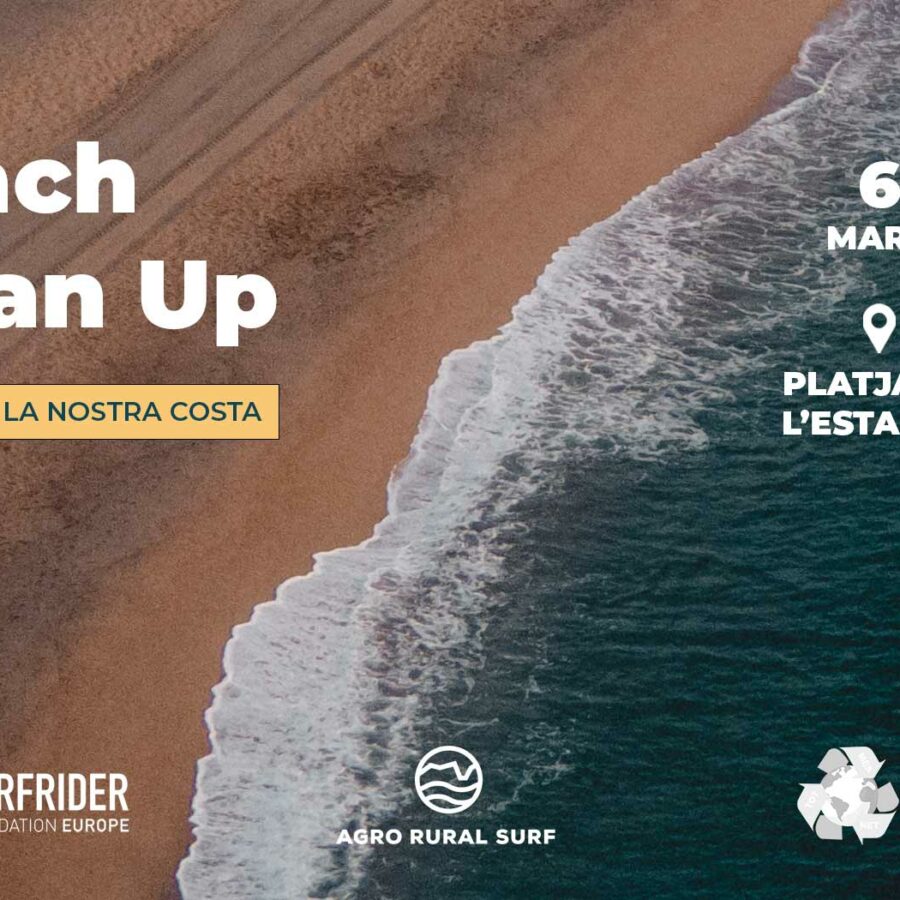 beach-clean-up-banner