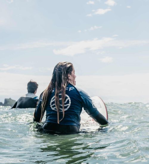 freesurf