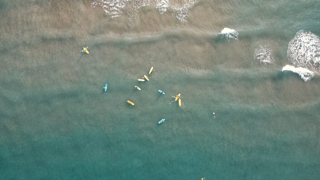 Agroruralsuf_escoladesurf_empordà_diamundialdelsoceans